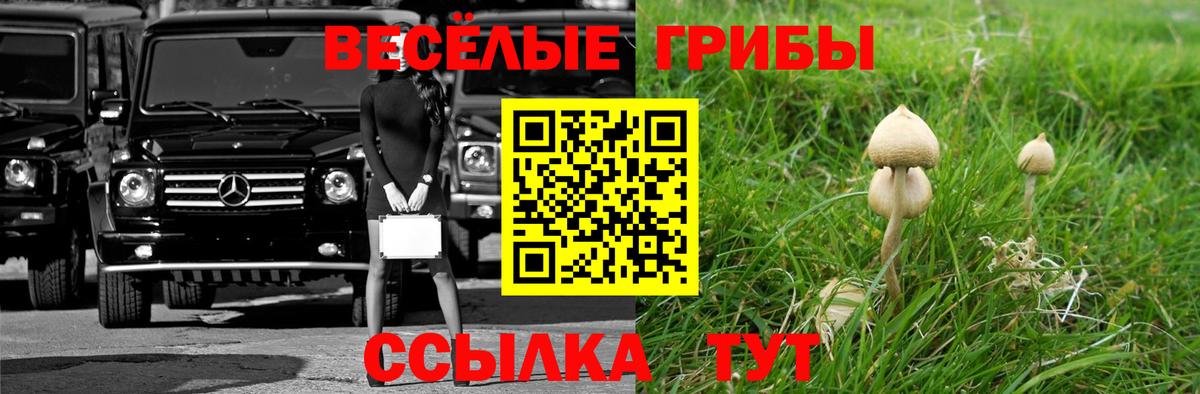Тамбов  Галлюциногенные грибы MAGIC MUSHROOMS  Вход с VPN  Псилоцибиновые грибы Cubensis 